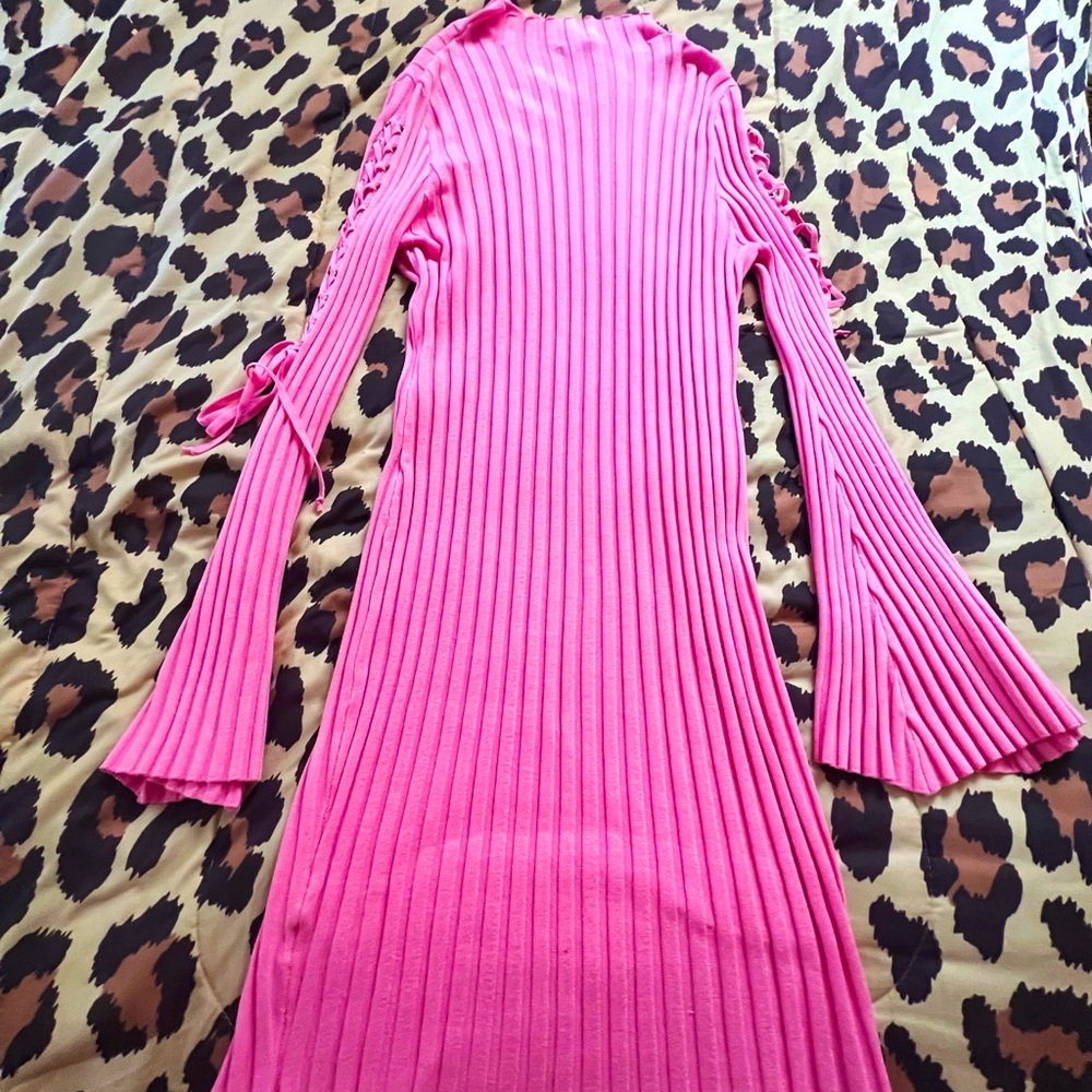 Pink Long sleeve dress from Fashion Nova Curve🪷